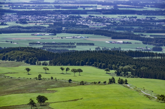 ナイタイ高原牧場